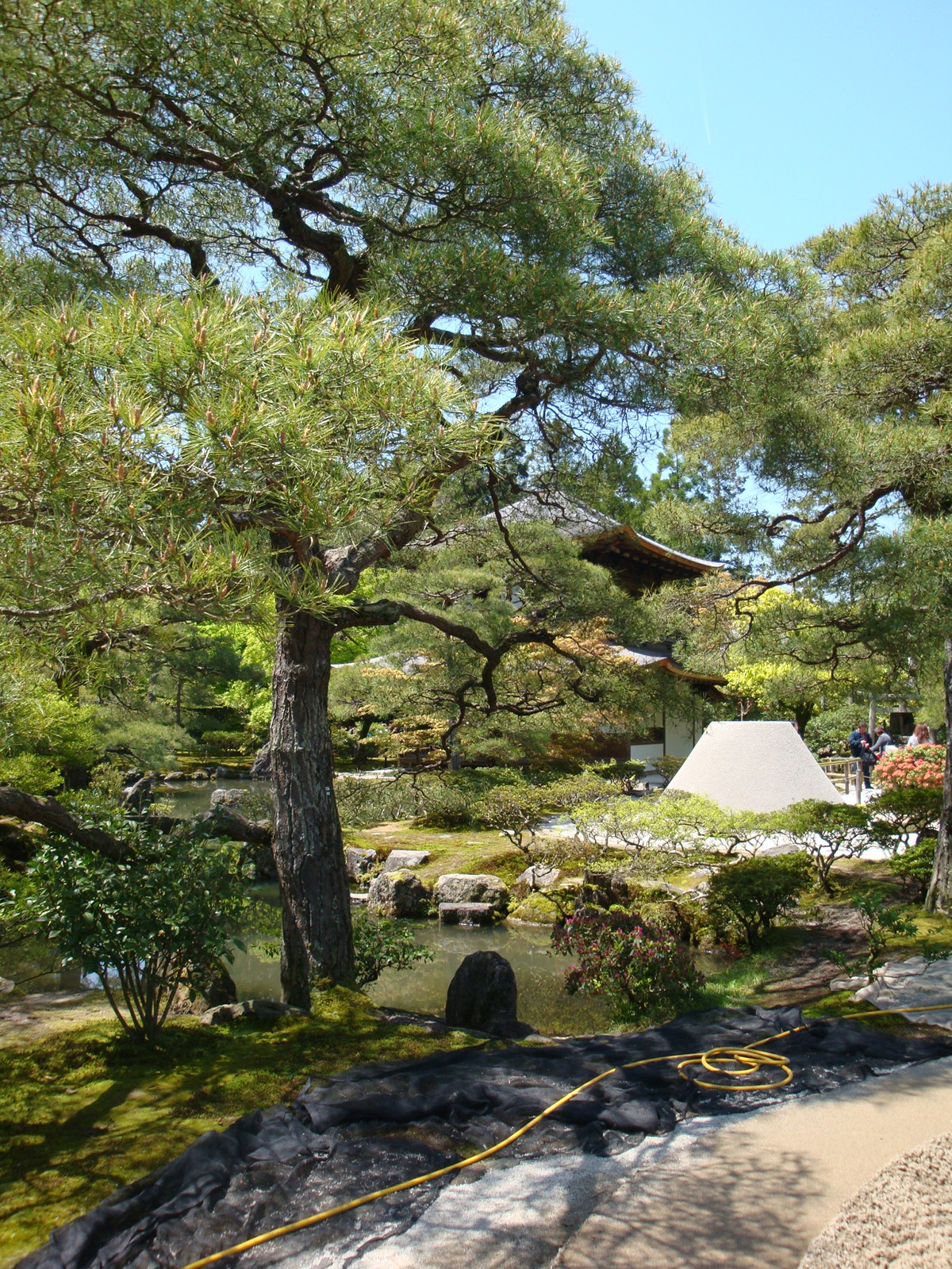 Kyoto Ginkakuji